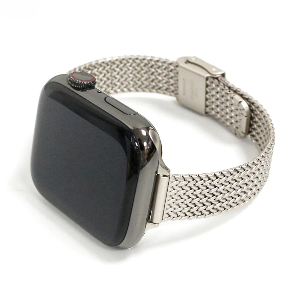 Band for Apple Watch Series 9  - đánh giá và giá Mesh Coil Strip