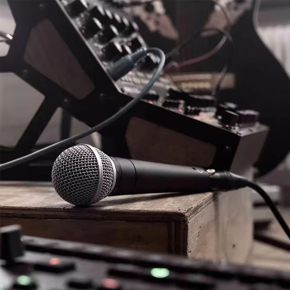 Karaoke Dynamic Microphone Pro - đánh giá và giá Shure Mic Sm58