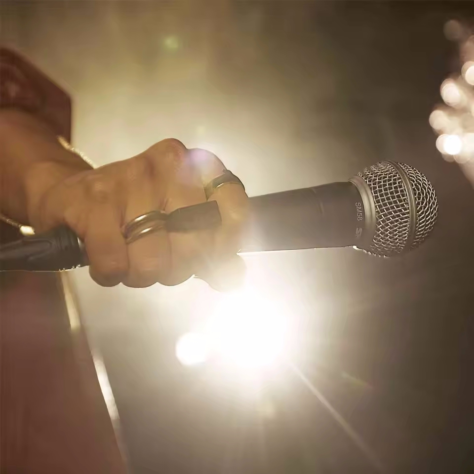 Karaoke Dynamic Microphone Pro - đánh giá và giá Shure Mic Sm58